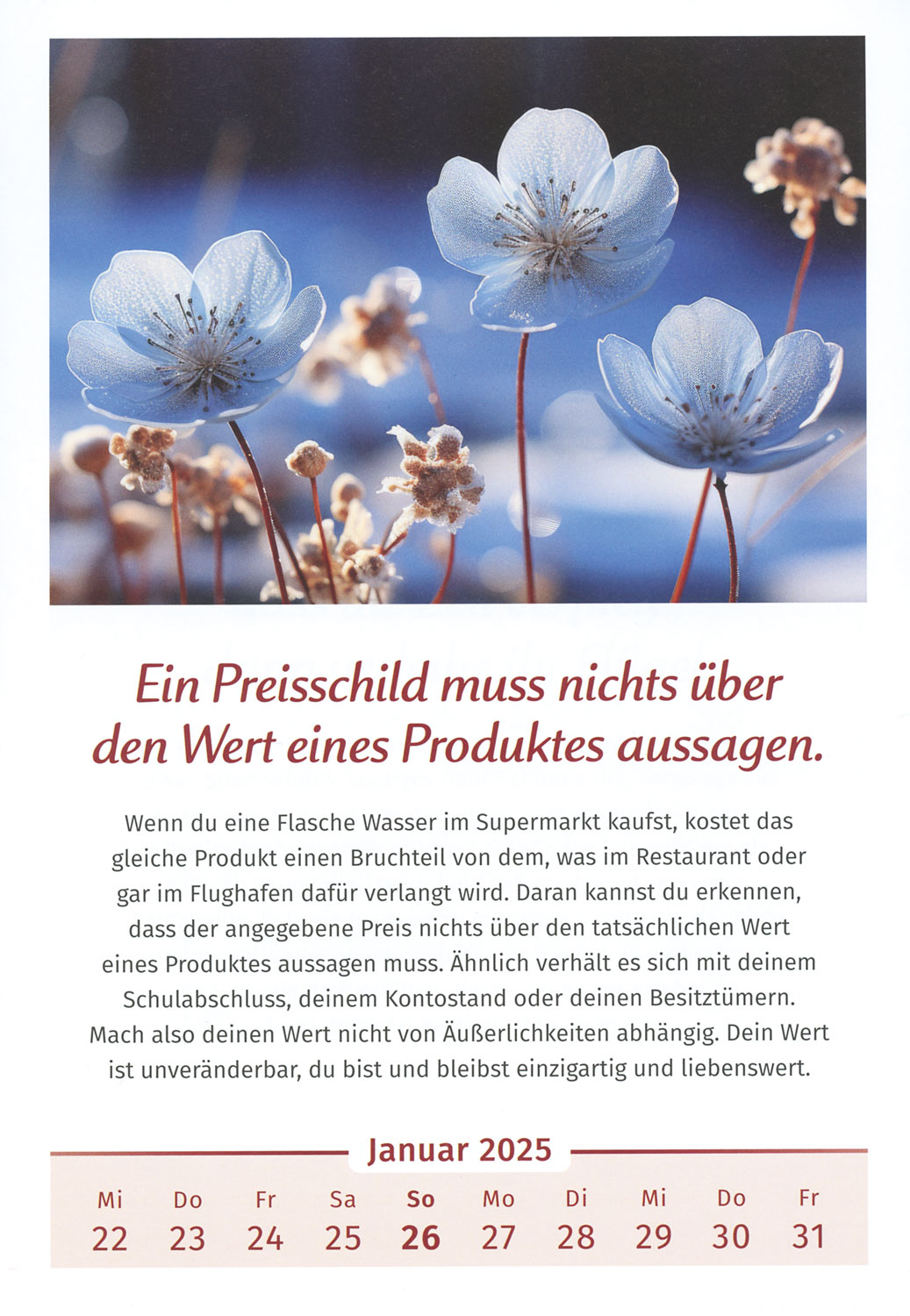 Der Lebensfreude-Kalender 2025 - Mngelartikel03