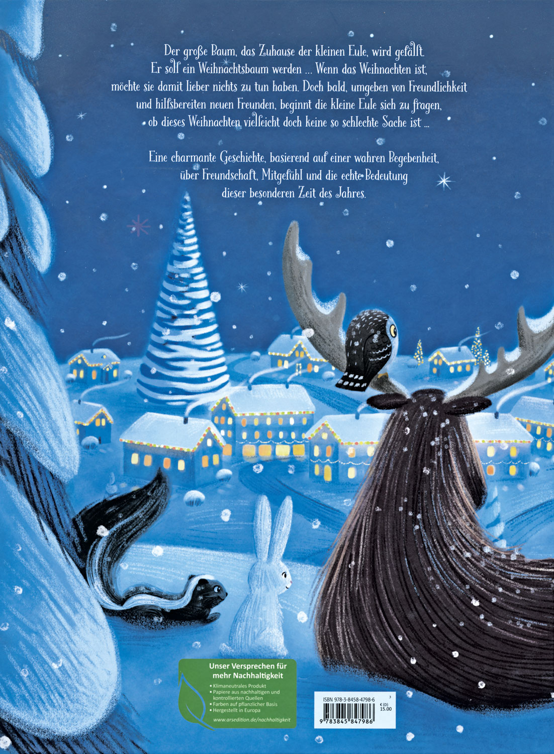 Die kleine Weihnachtseule01