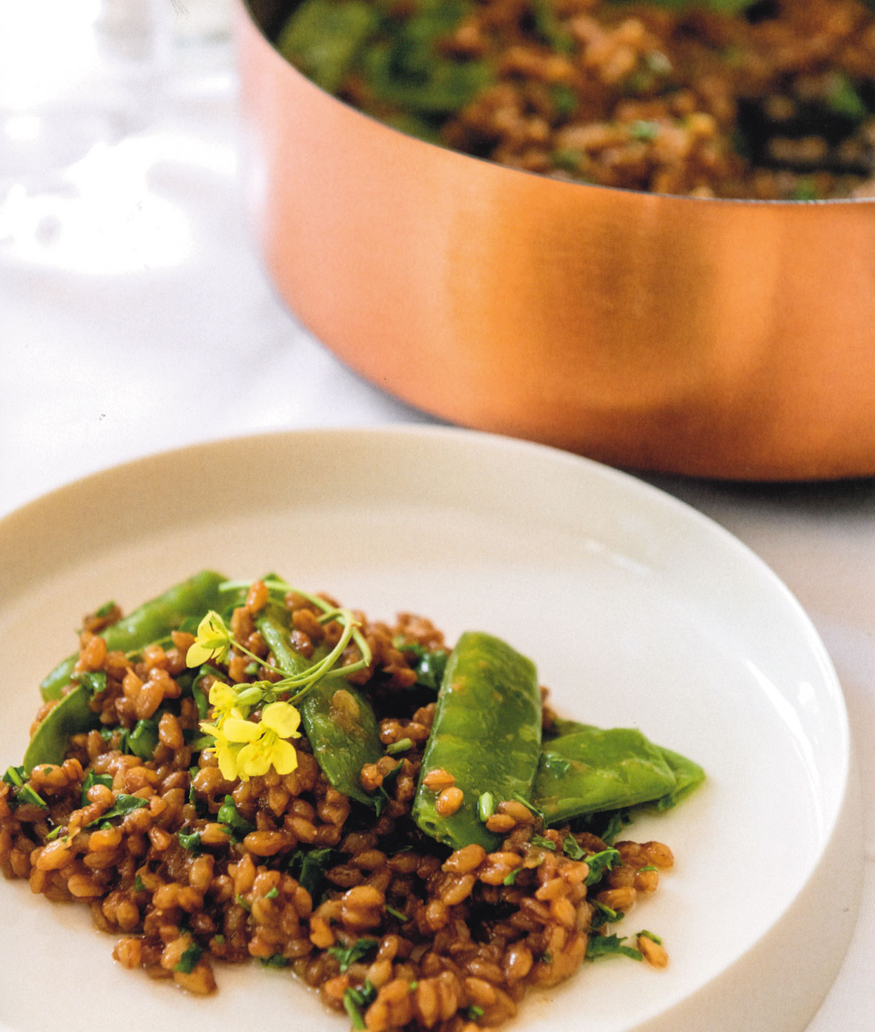 Kochen in Kupfer - Mngelartikel02