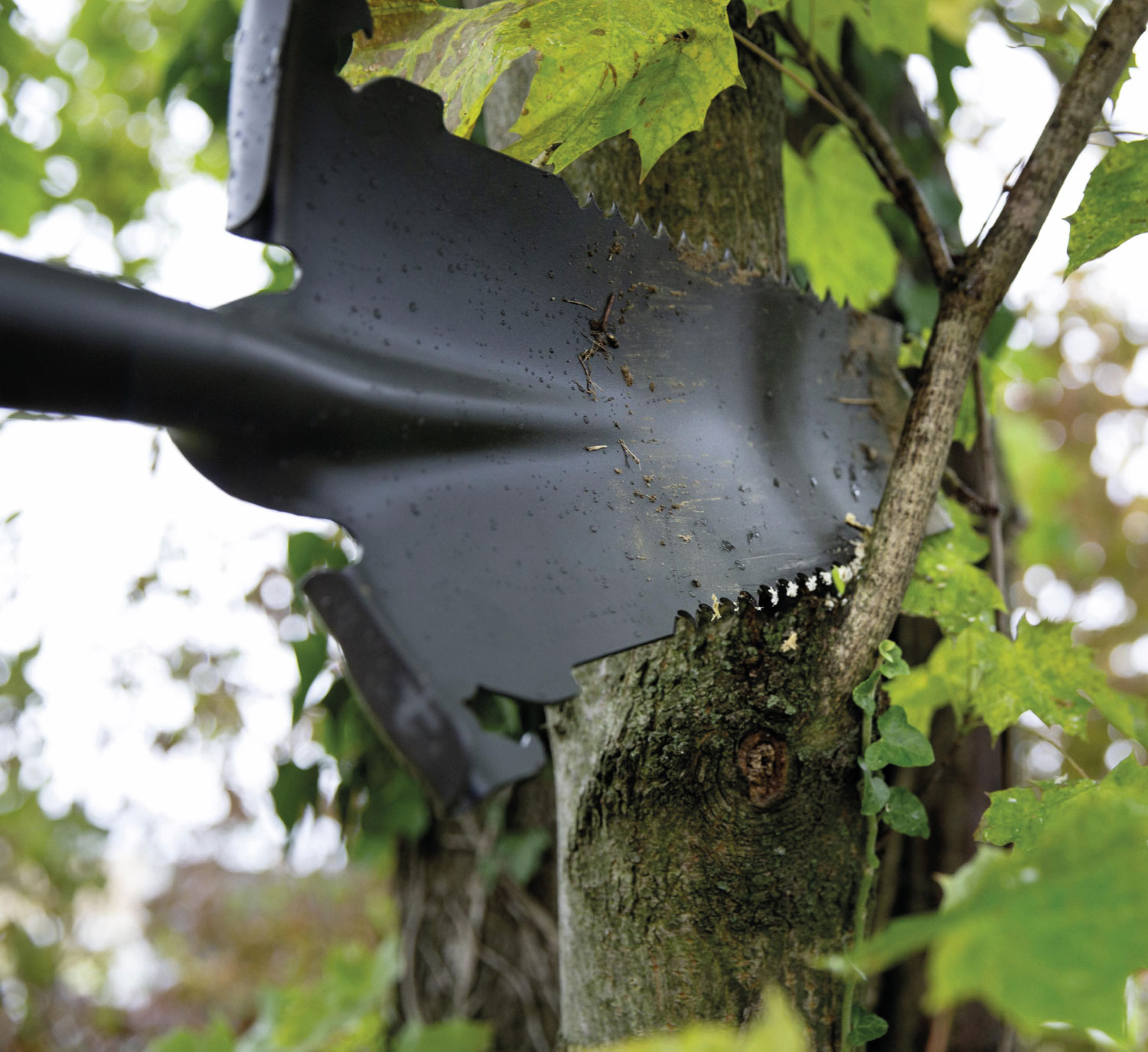 Hammersmith RayzerShovel All-in-One Wurzelspaten03