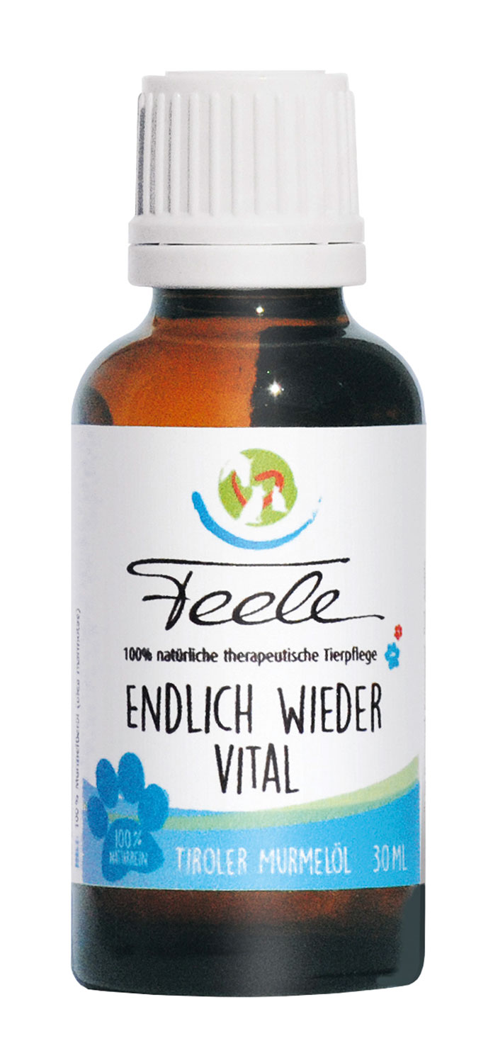 Feele Endlich wieder vital