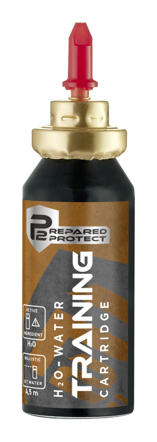 P2P Trainingskartusche01