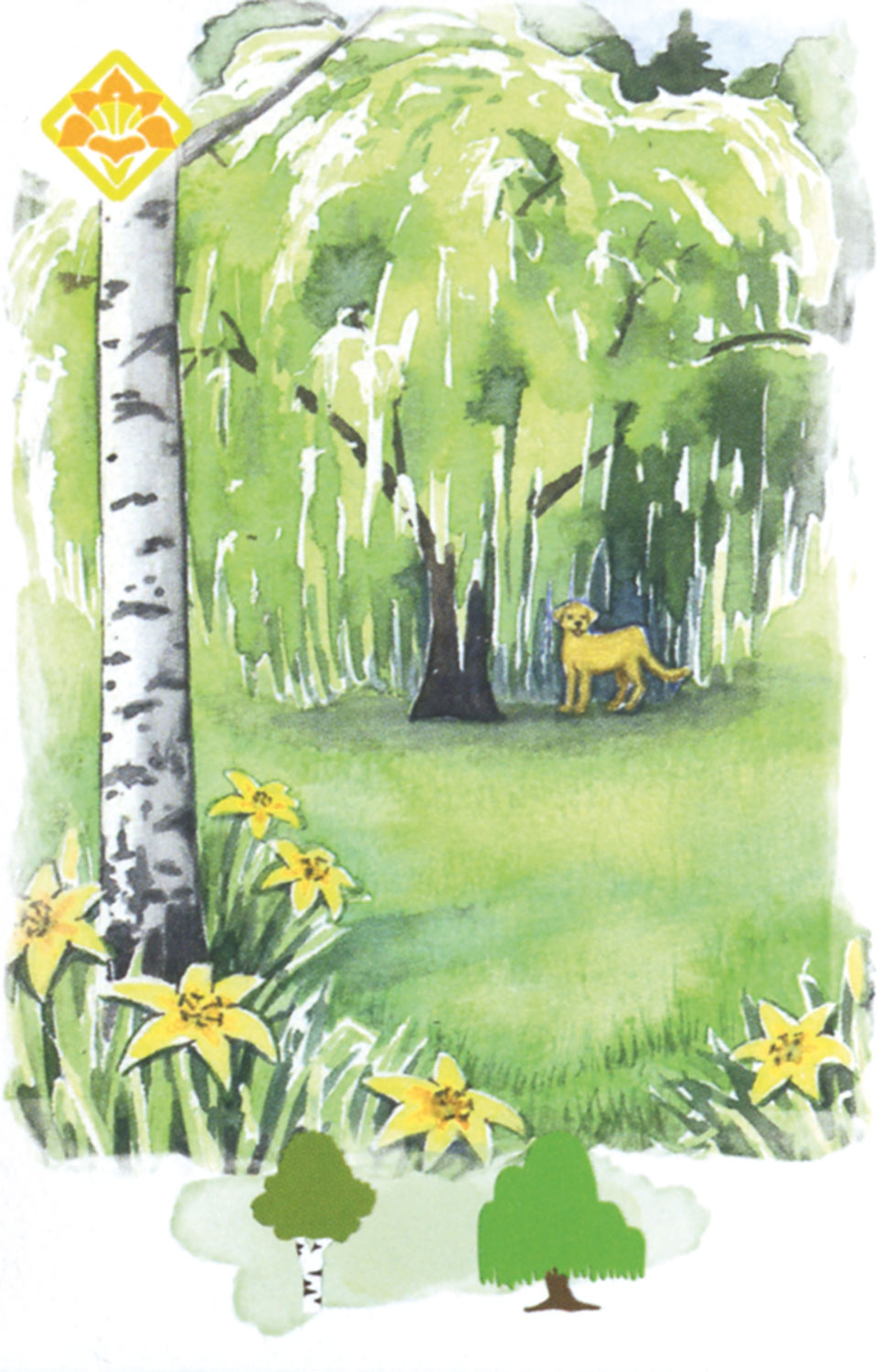 Village Green - Kartenspiel04