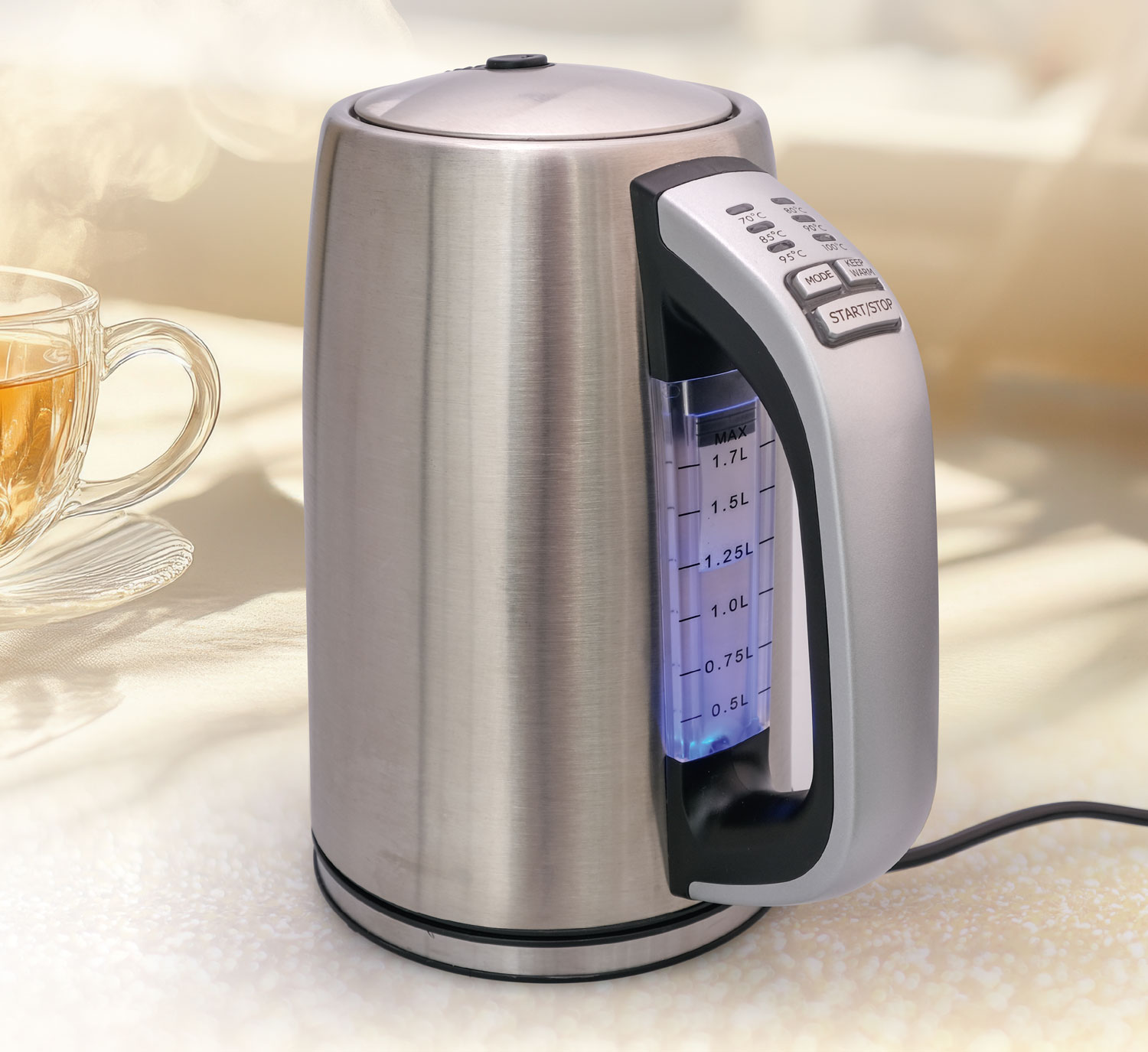 Edelstahl-Wasserkocher mit Temperaturregelung