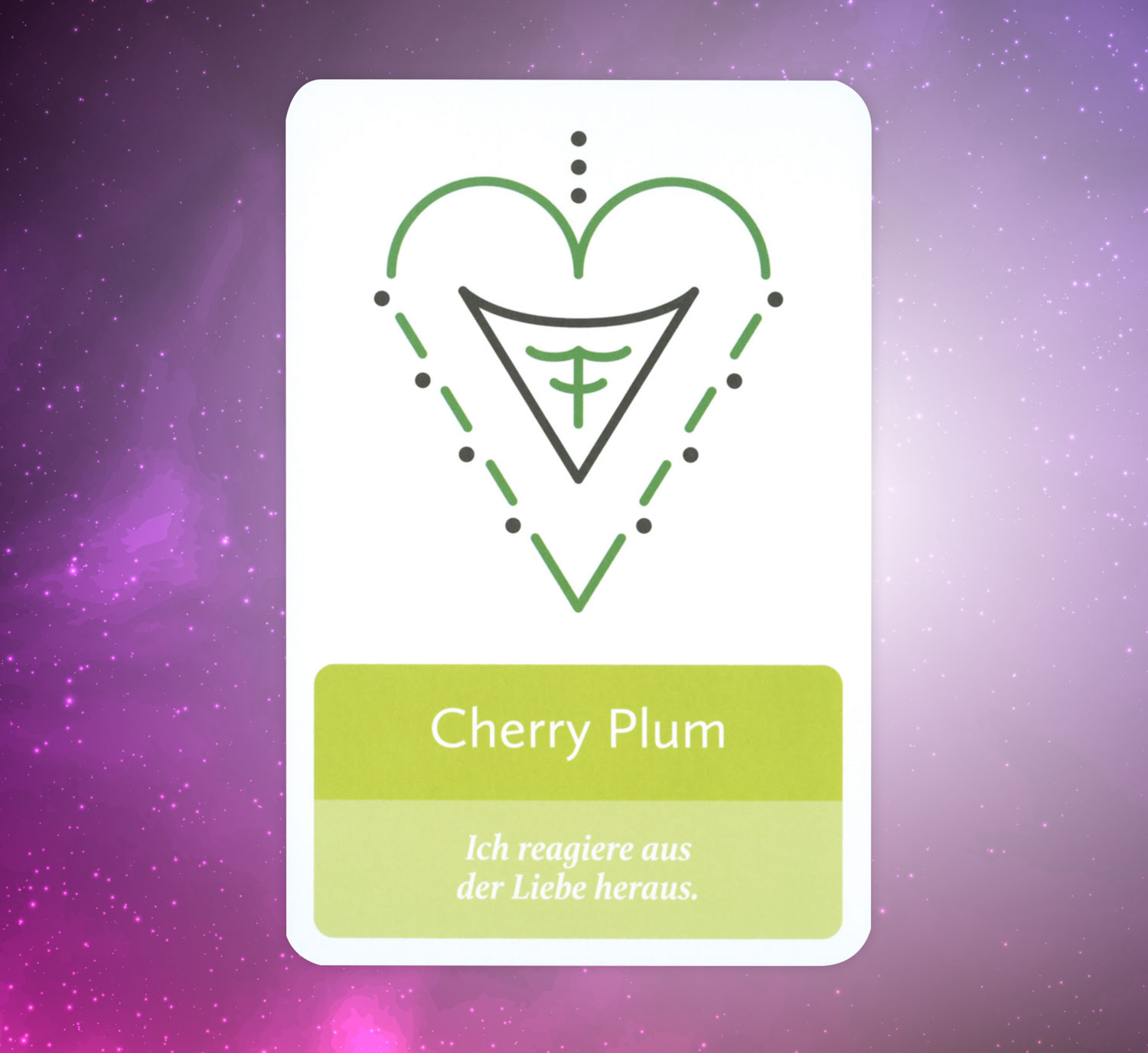 Homopathische Symbolapotheke: Psyche und Gemt - Das Kartenset02