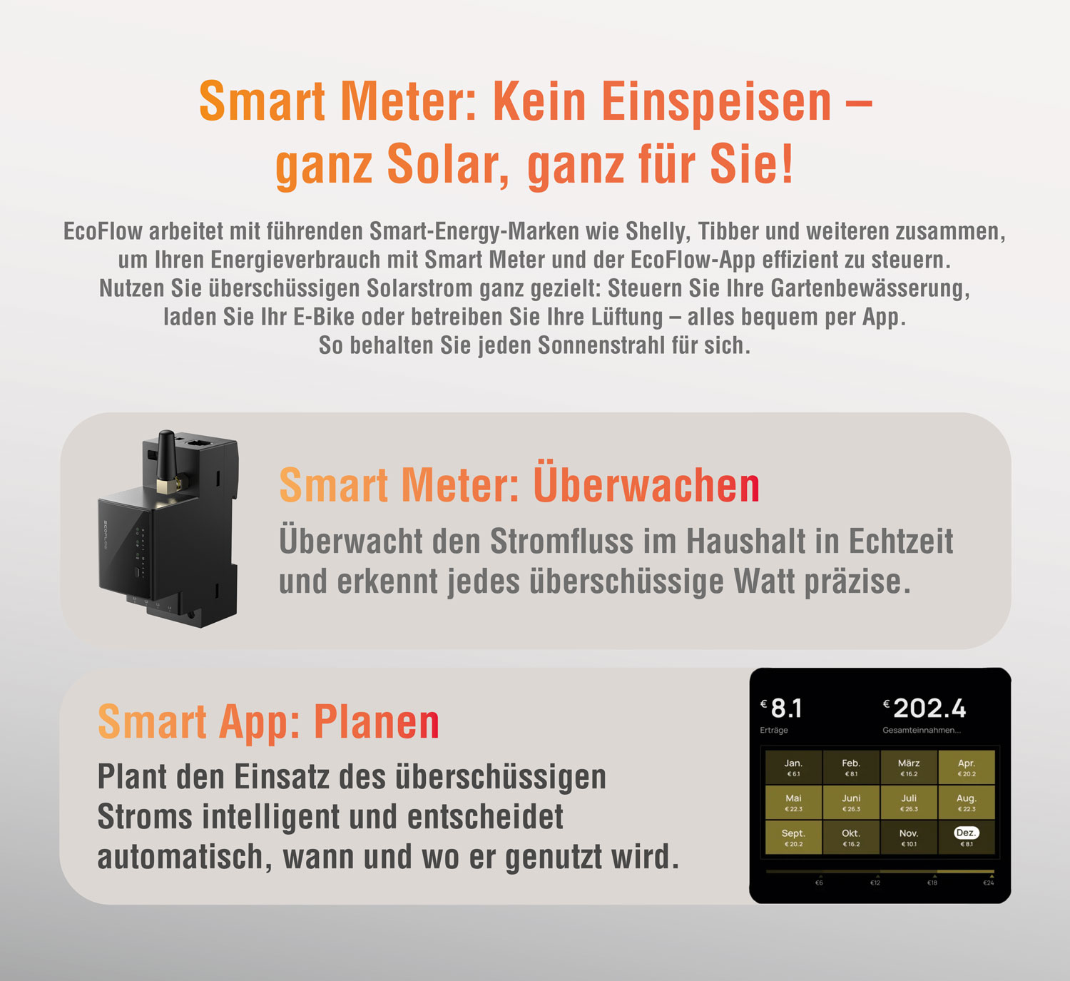 EcoFlow Smart Meter02