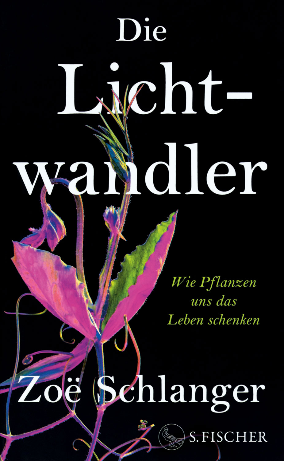 Die Lichtwandler