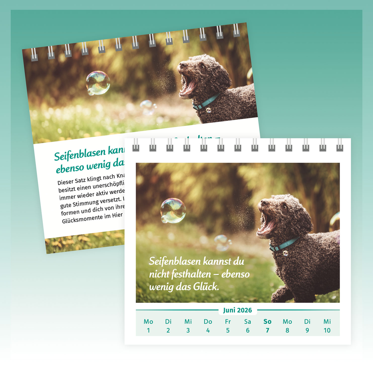 Der Lebensfreude-Tischkalender 202602