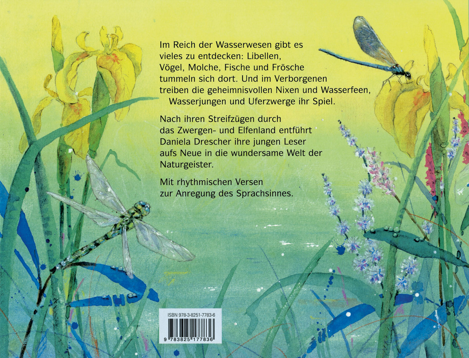 Komm mit ins Reich der Wassernixen01