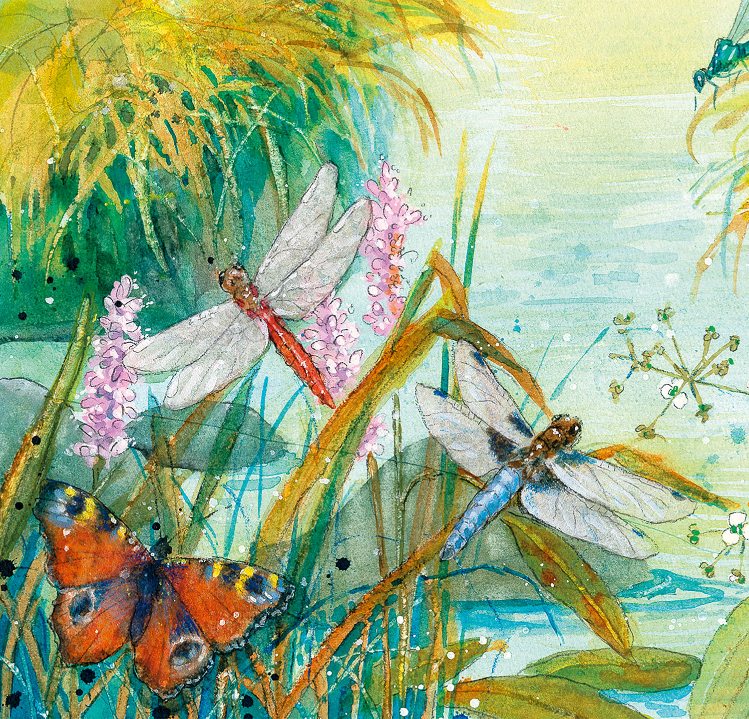 Komm mit ins Reich der Wassernixen02