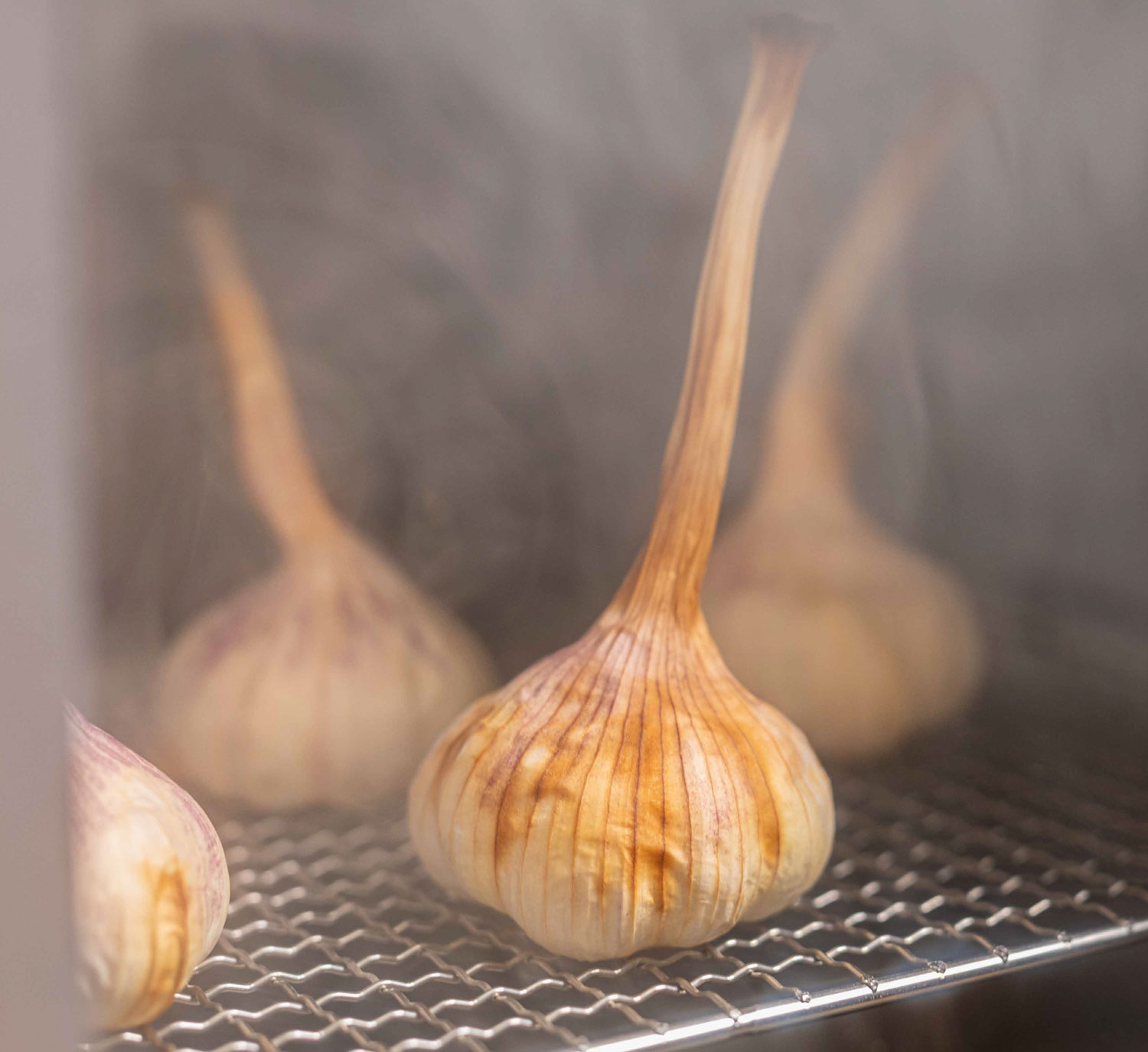 3er-Pack Rucherrost fr Rucherofen01