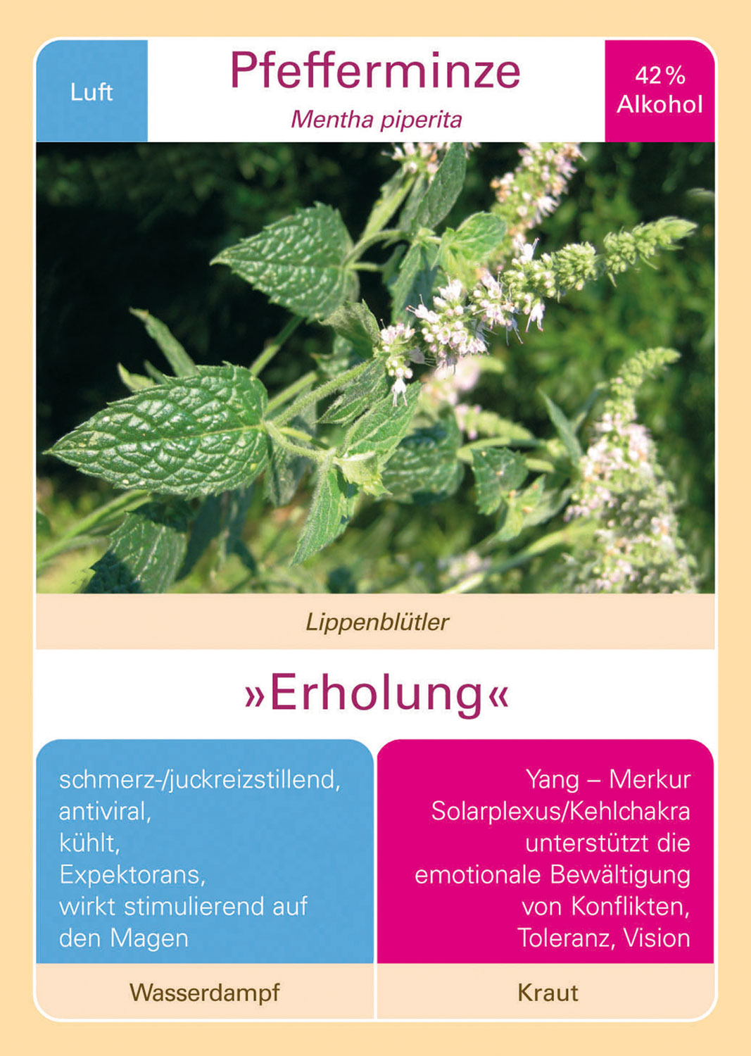 Riecht gut, tut gut02