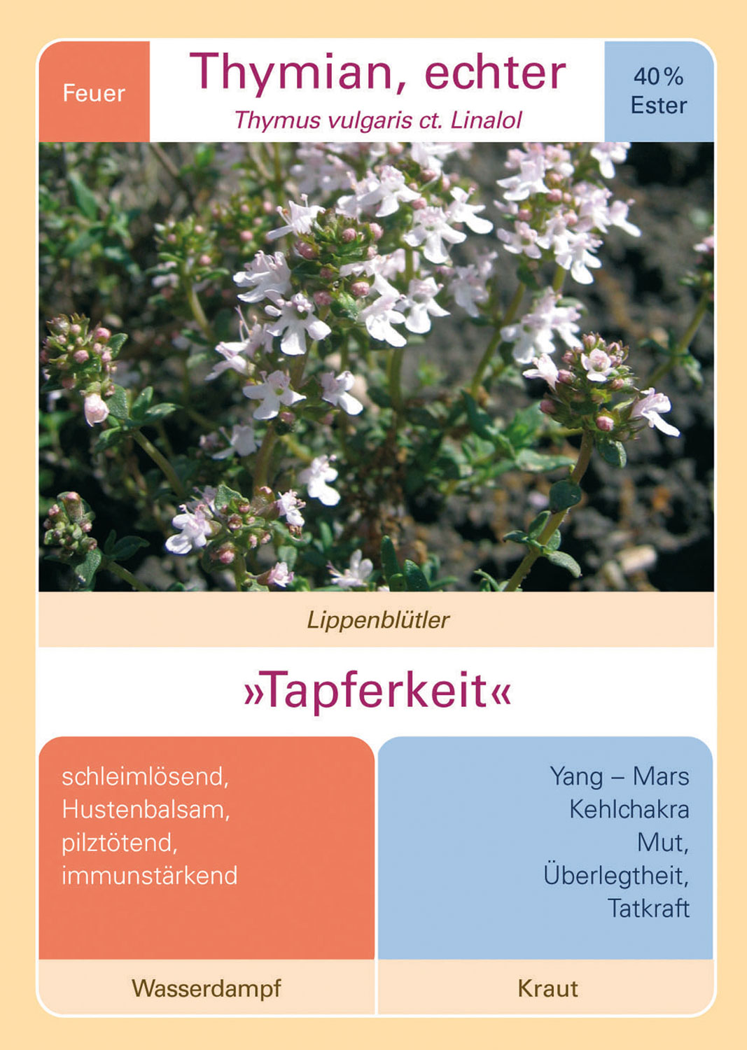 Riecht gut, tut gut03