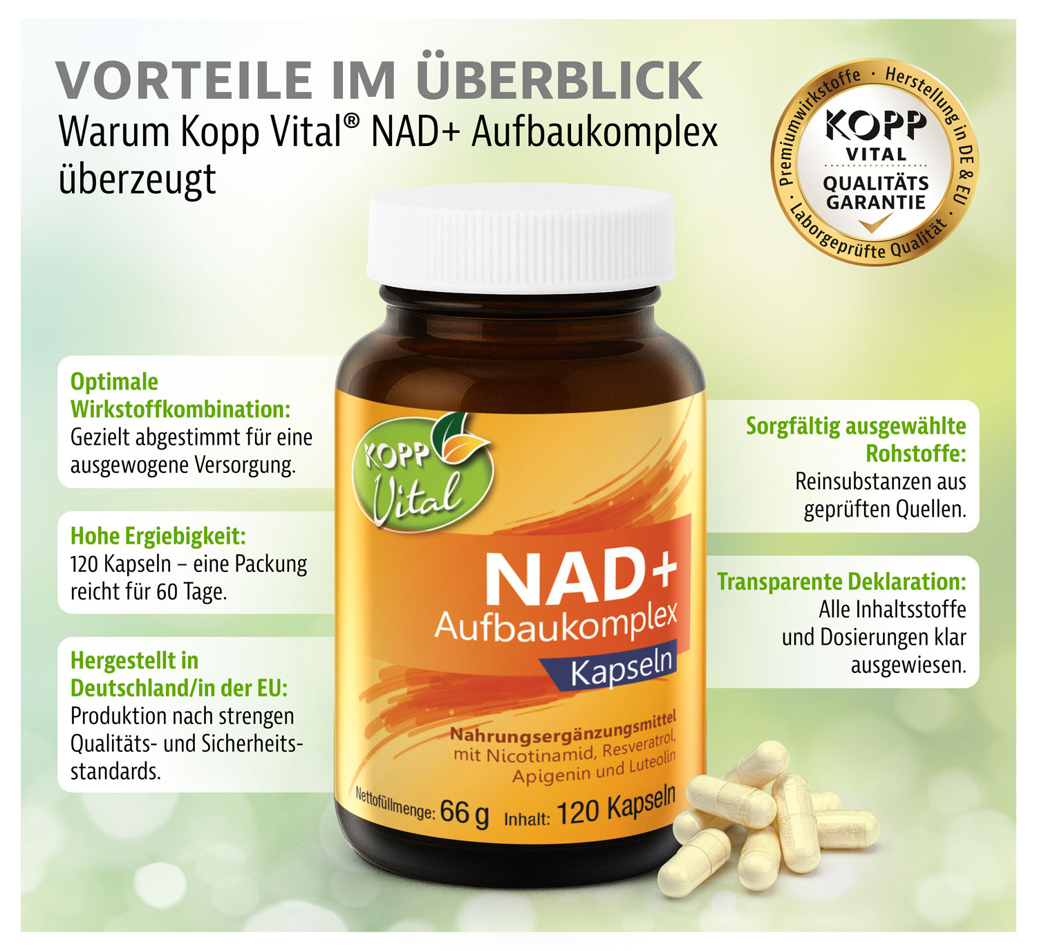 Kopp Vital� NAD+ Aufbaukomplex / 200 mg / 120 Kapseln01