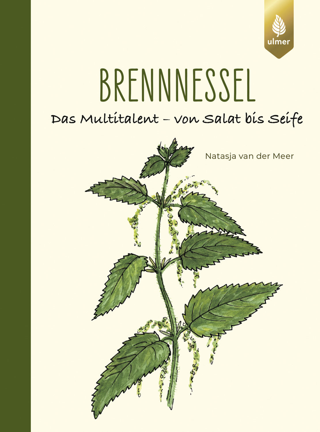  Brennnessel  