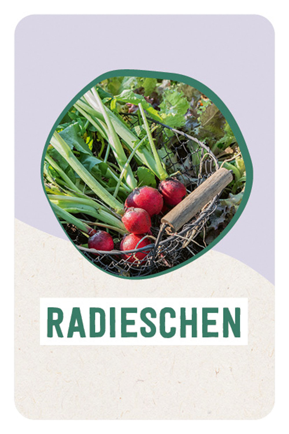 Hochbeet super easy01