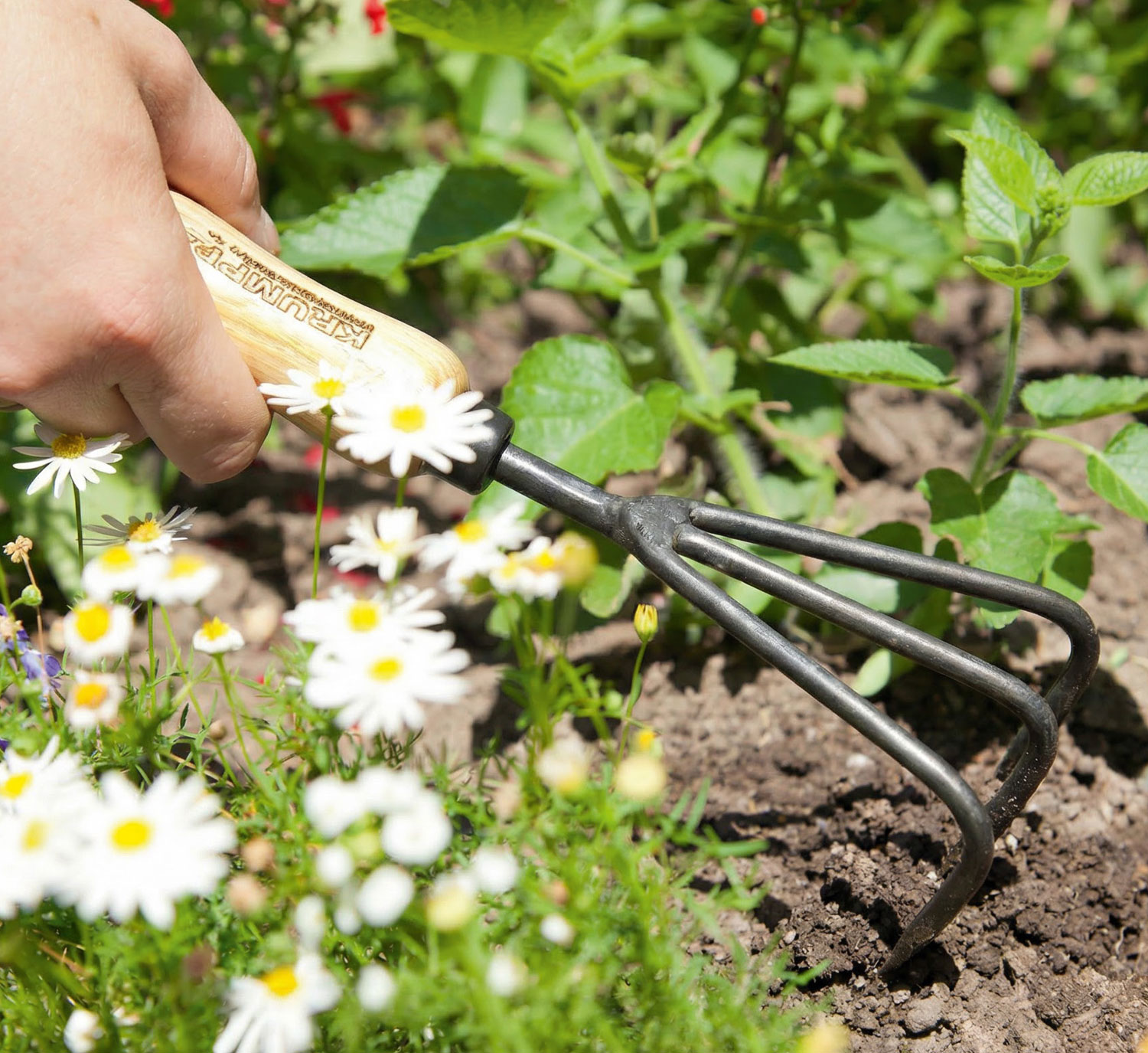 Krumpholz Grubber 3 Zinken mit Eschengriff