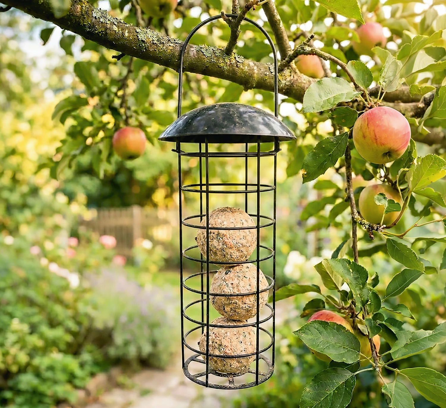 Meisenkn�delspender