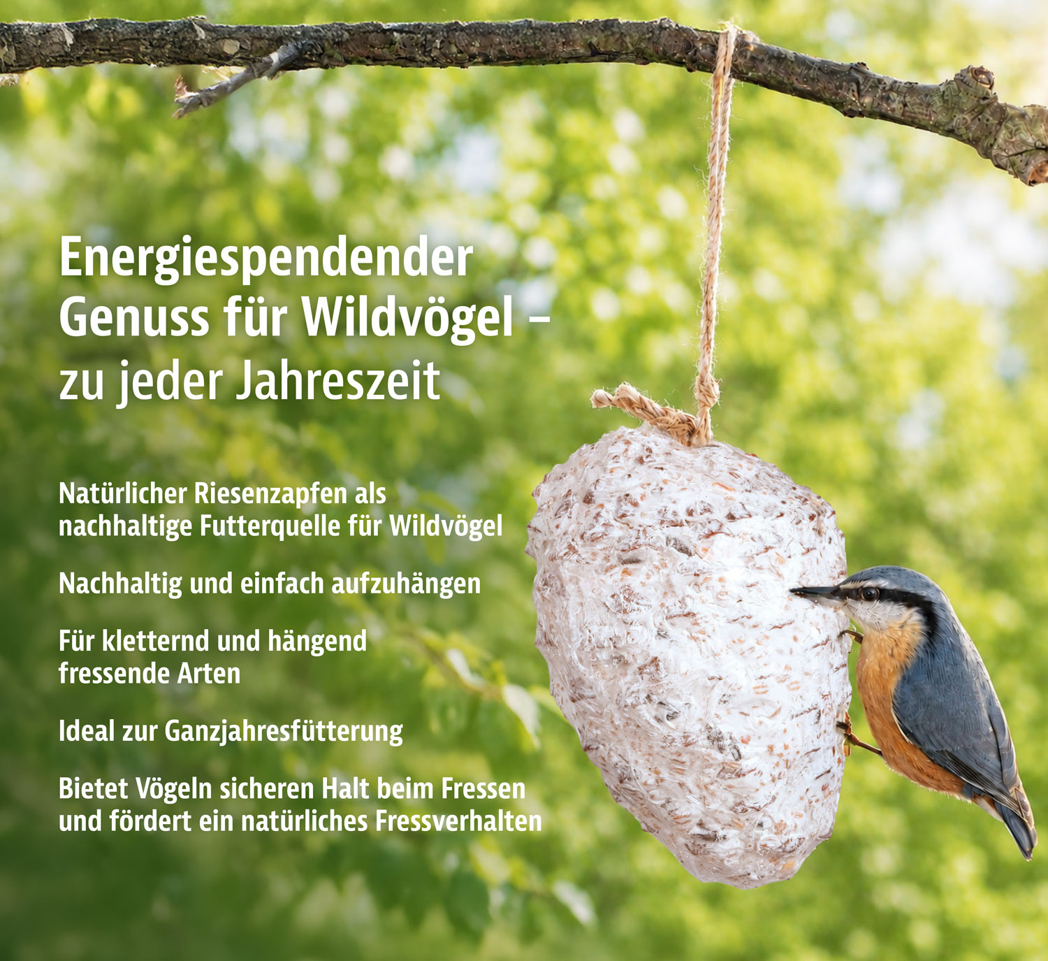 Premium-Riesenzapfen mit Fettfutter f�r Wildv�gel01