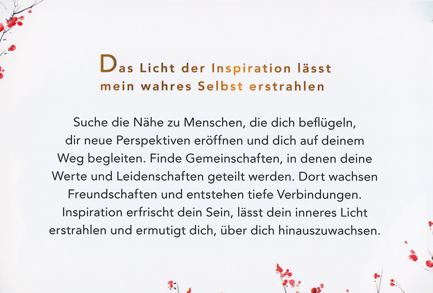 Dein Ikigai-Moment - Impulskarten f�r ein Leben voller Leichtigkeit, Sinn und Erf�llung03