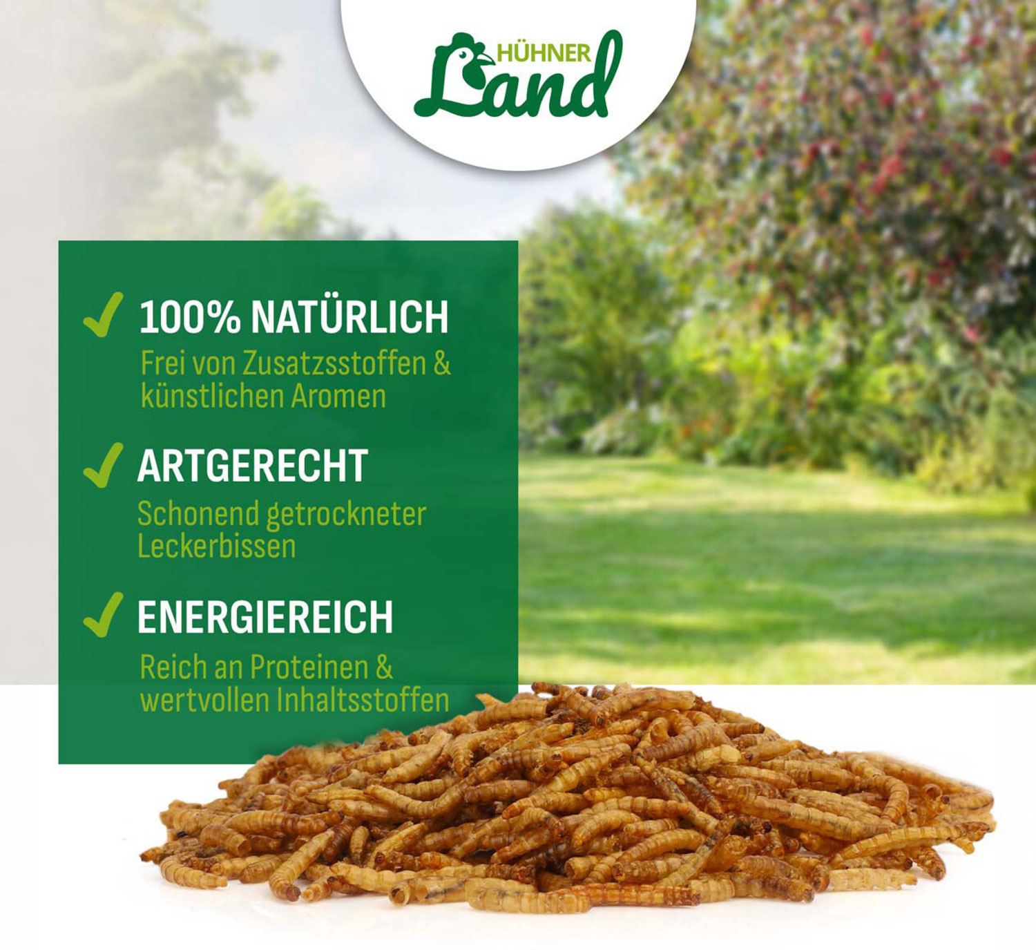 Mehlw�rmer f�r Heim- und Wildtiere03