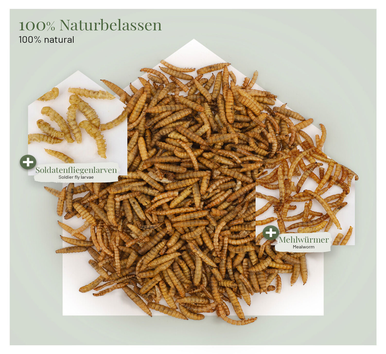 Insektenmix f�r Heim- und Wildtiere03