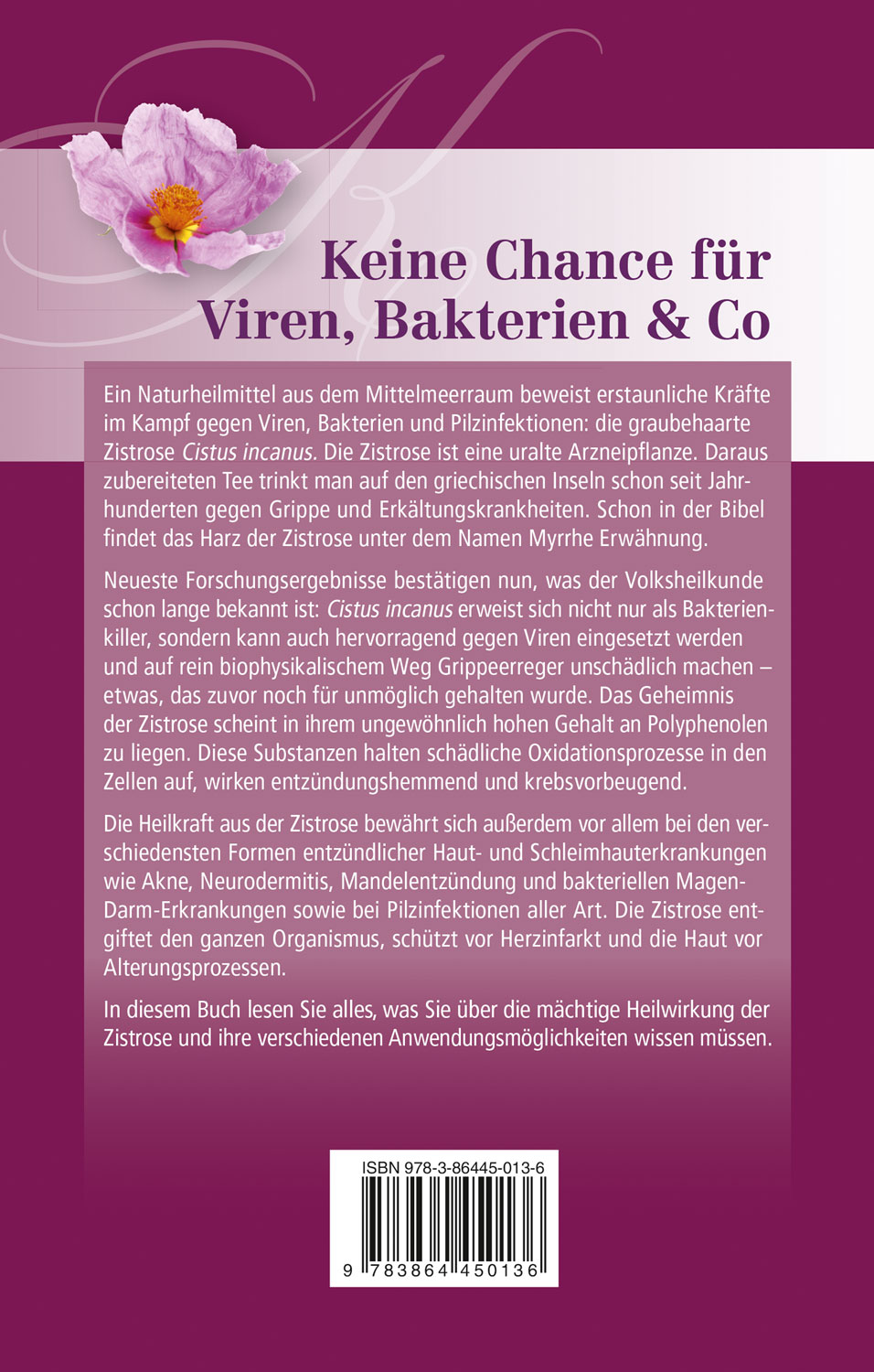 Wunderpflanze Zistrose01