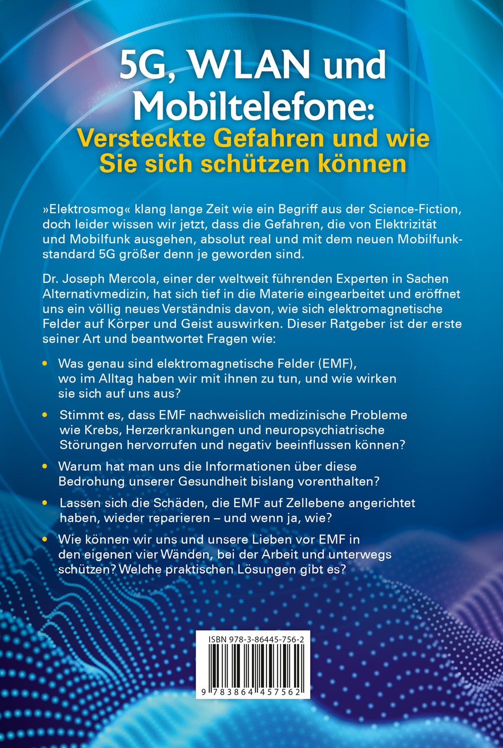 EMF - Elektromagnetische Felder01