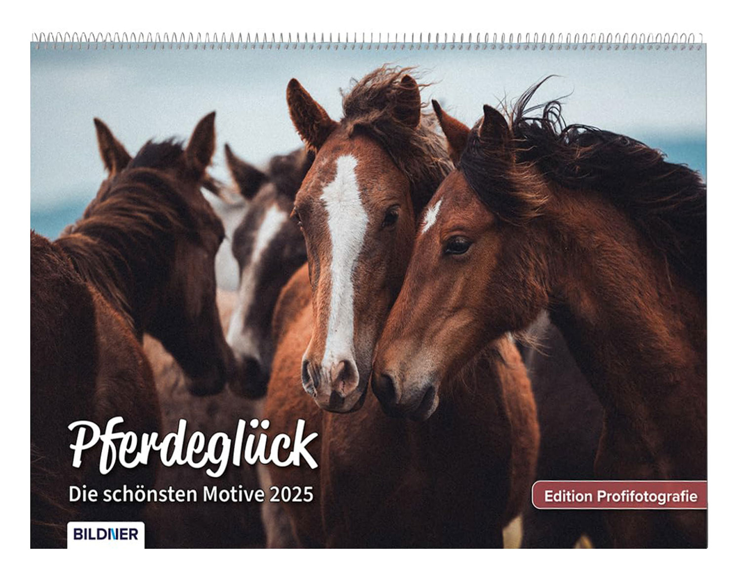 Pferde Kalender 2025 Pferdeglck! - Mngelartikel