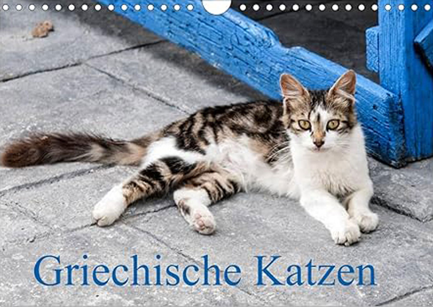 Griechische Katzen 2025 - Mngelartikel