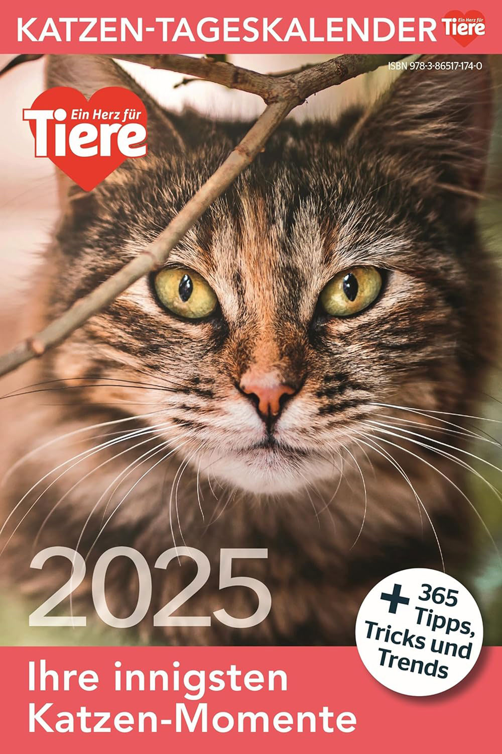 Katzen Tageskalender 2025 - Mngelartikel