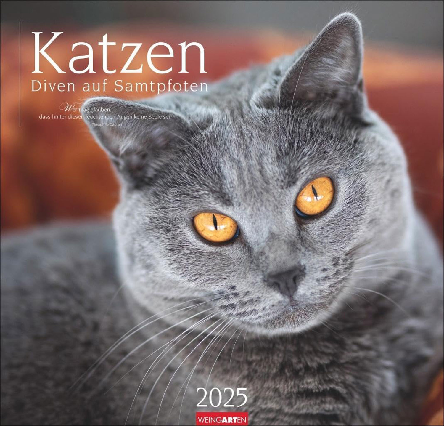 Katzen - Diven auf Samtpfoten Kalender 2025 - Mngelartikel