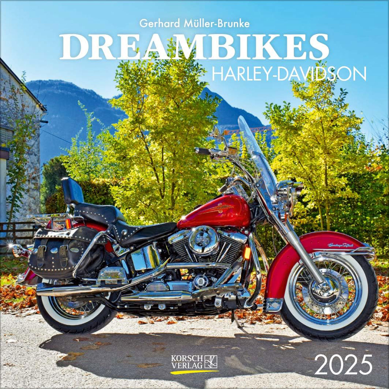 Dreambikes 2025 - Mngelartikel