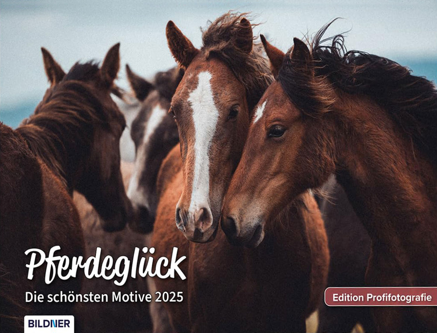 Pferde Kalender 2025 Pferdeglck! - Mngelartikel