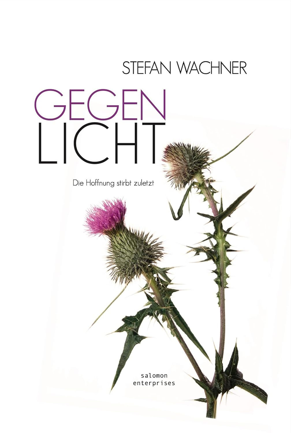 Gegenlicht Die Hoffnung stirbt zuletzt - Mngelartikel