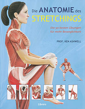 Die Anatomie des Stretchings_small