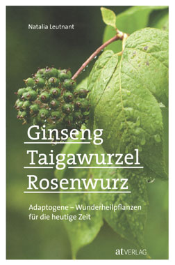 Ginseng, Taigawurzel, Rosenwurz_small
