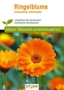 Ringelblume - Mein Heilpflanzengarten_small