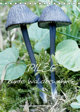 Pilze - Bunte Waldbewohner Tischkalender 2023_small
