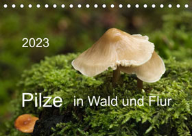 Pilze in Wald und Flur Tischkalender 2023_small