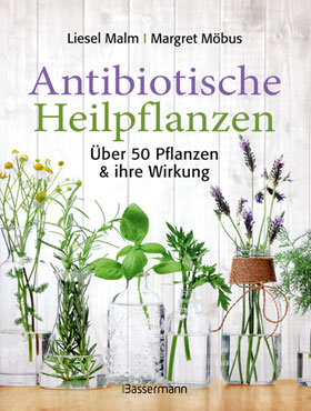 Antibiotische Heilpflanzen_small
