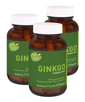 Kopp Vital   Ginkgo fermentiert Kapseln in Premiumqualitt mit Vitamin B12_small