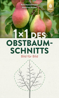 1 x 1 des Obstbaumschnitts_small