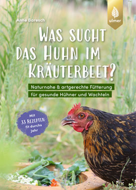 Was sucht das Huhn im Kruterbeet?_small