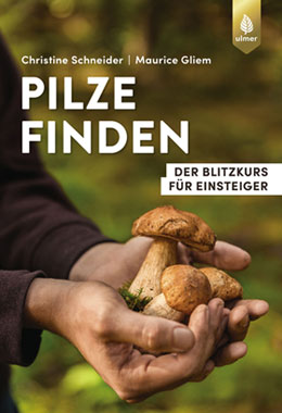 Pilze finden_small