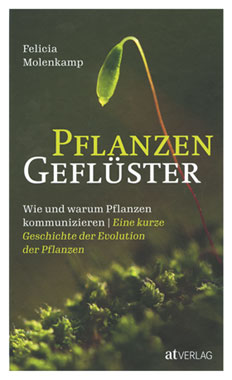 Pflanzengeflster_small