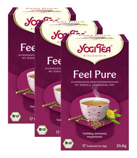 3er-Pack Yogi Bio-Feel Pure Tee_small