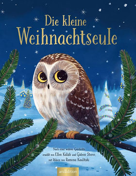 Die kleine Weihnachtseule_small