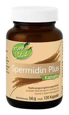 Kopp Vital Spermidin Plus / 120 Kapseln_small