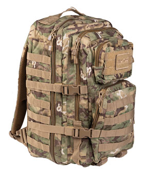 US Assault Pack - gro W/L-Arid_small